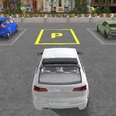 Real Car Parking